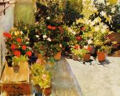 华金索罗利亚巴斯蒂达 - A Rooftop with Flowers